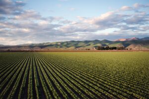 Farming field with rolling hills